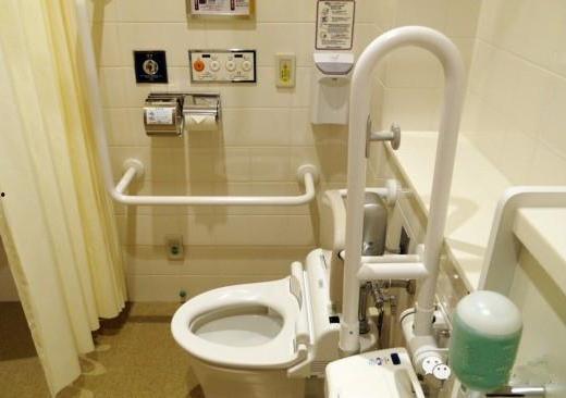 日本卫生间爆料视频,独特设计与文化内涵一窥究竟  第3张